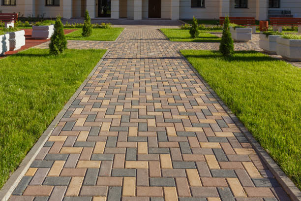 Best Local Driveway Pavers  in Melrose, MN